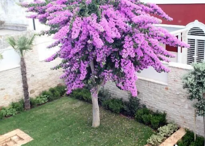 ベッド・アンド・ブレックファスト Pina