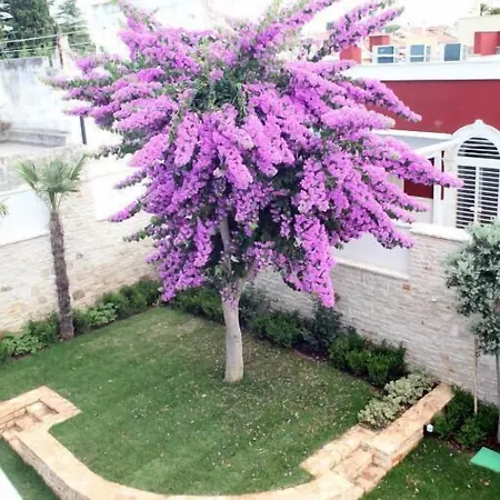 Oda ve Kahvaltı Pina