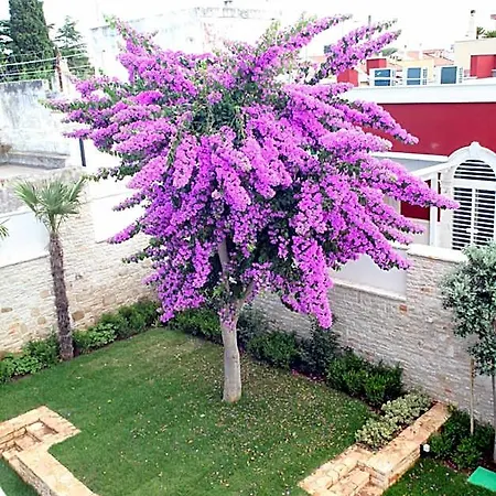B&B Pina 4*
