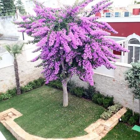 فندق مبيت وإفطار Pina
